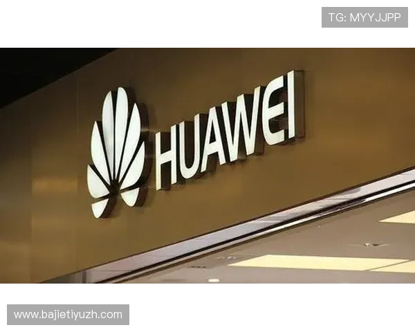 od真人会员登录界面优化方案，简洁高效提升用户体验